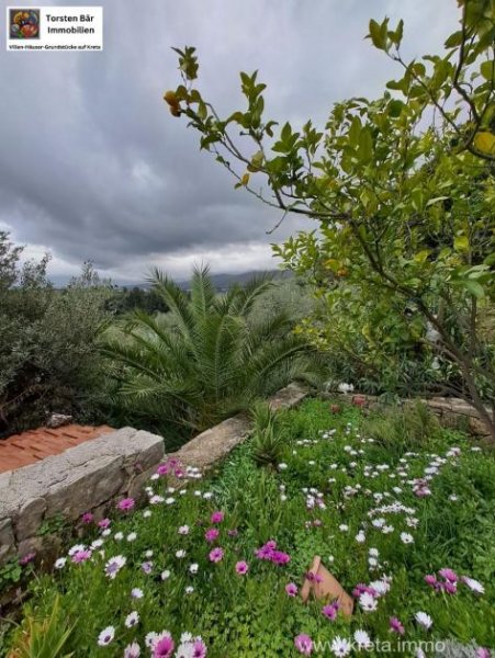 Paidochori Kreta, Paidochori - freistehende Steinvilla mit 2 Schlafzimmern Haus kaufen